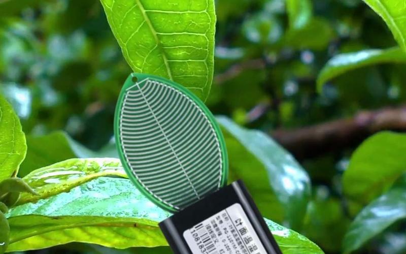 Plant sensors: the plant's 